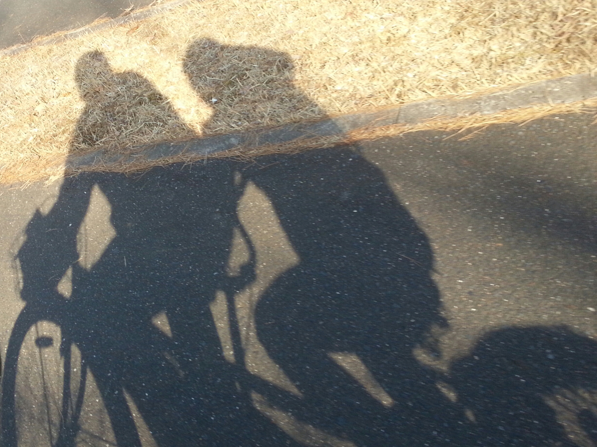 自転車違反の罰金はいくら？青切符の反則金一覧【2026年最新】